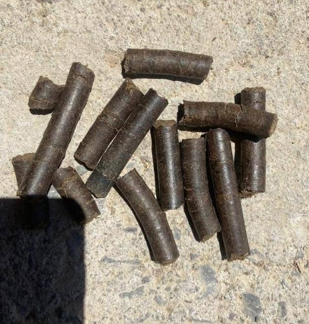 تفاله چغندر فشنگی